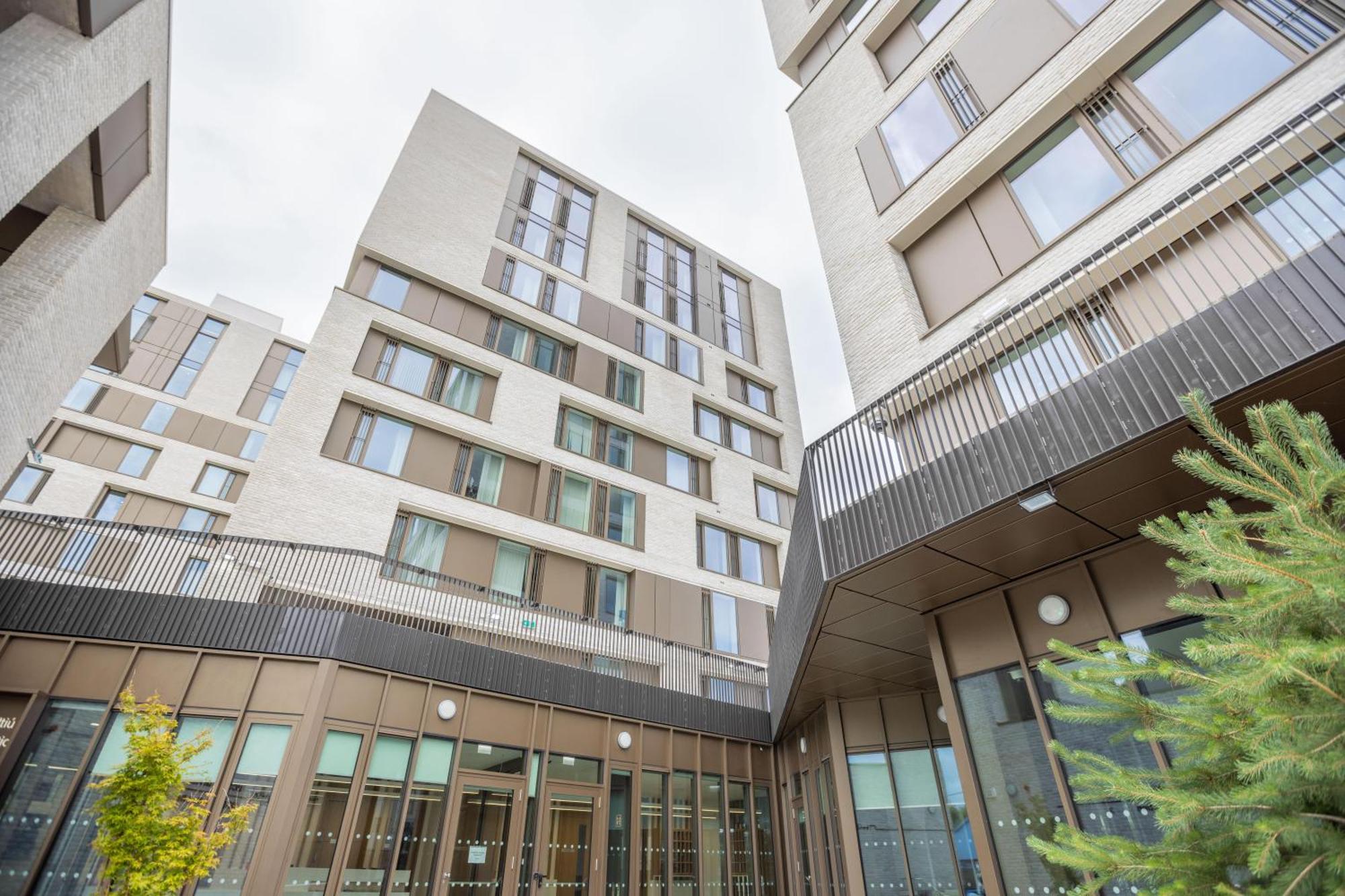 Crow'S Nest - Ucc Summer Beds Apartment Cork Exterior photo